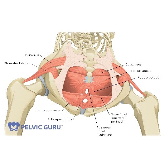 What Causes Lower Back Pain? - Delight Medical and Wellness Center