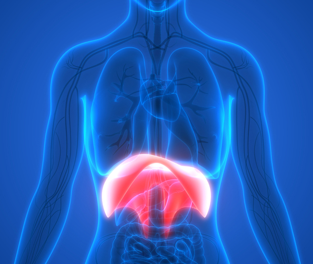 Diaphragm Rehab for Breathing Dysfunction