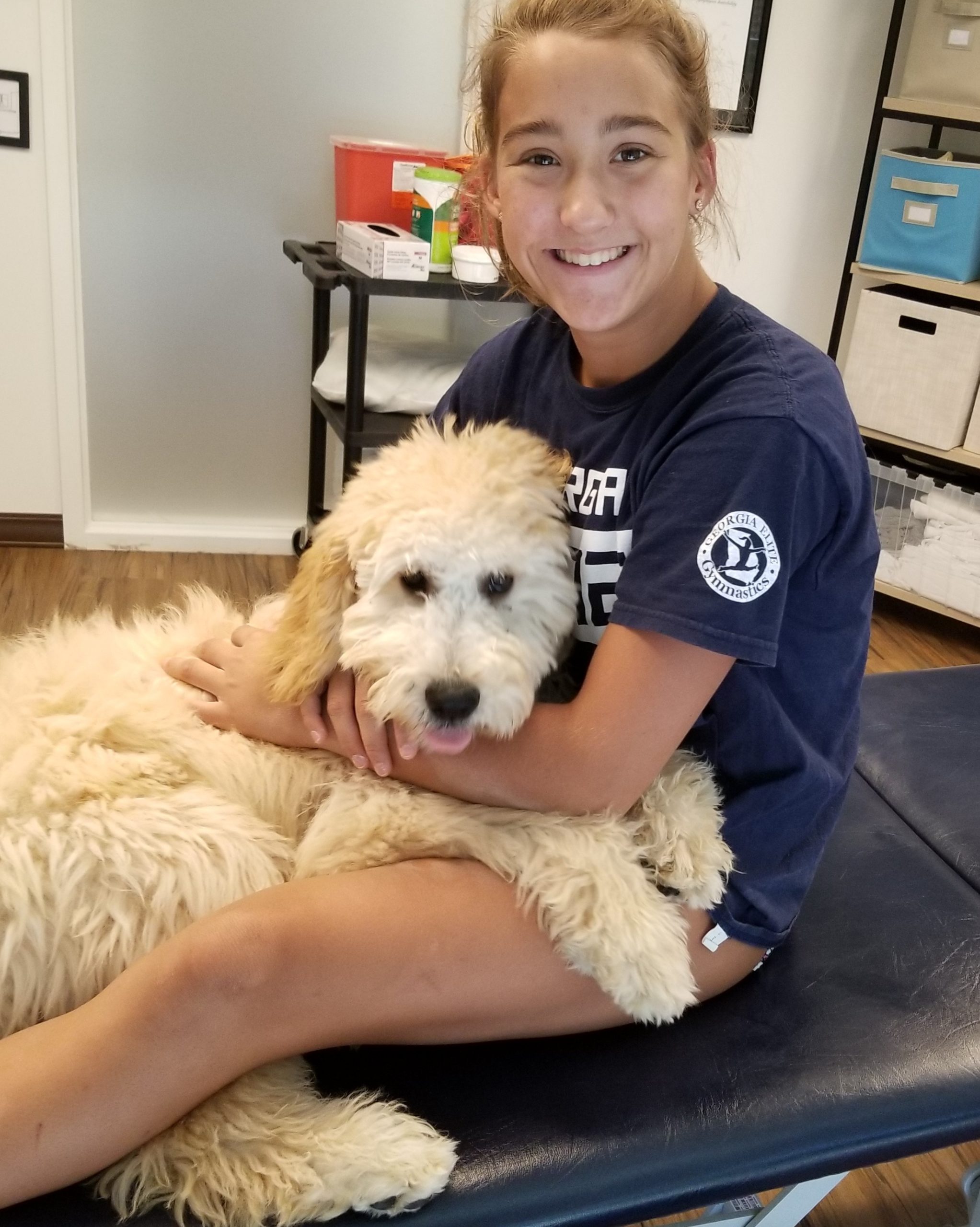 Maddie the therapy dog